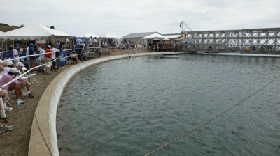 Spectators watch the competition from the shore